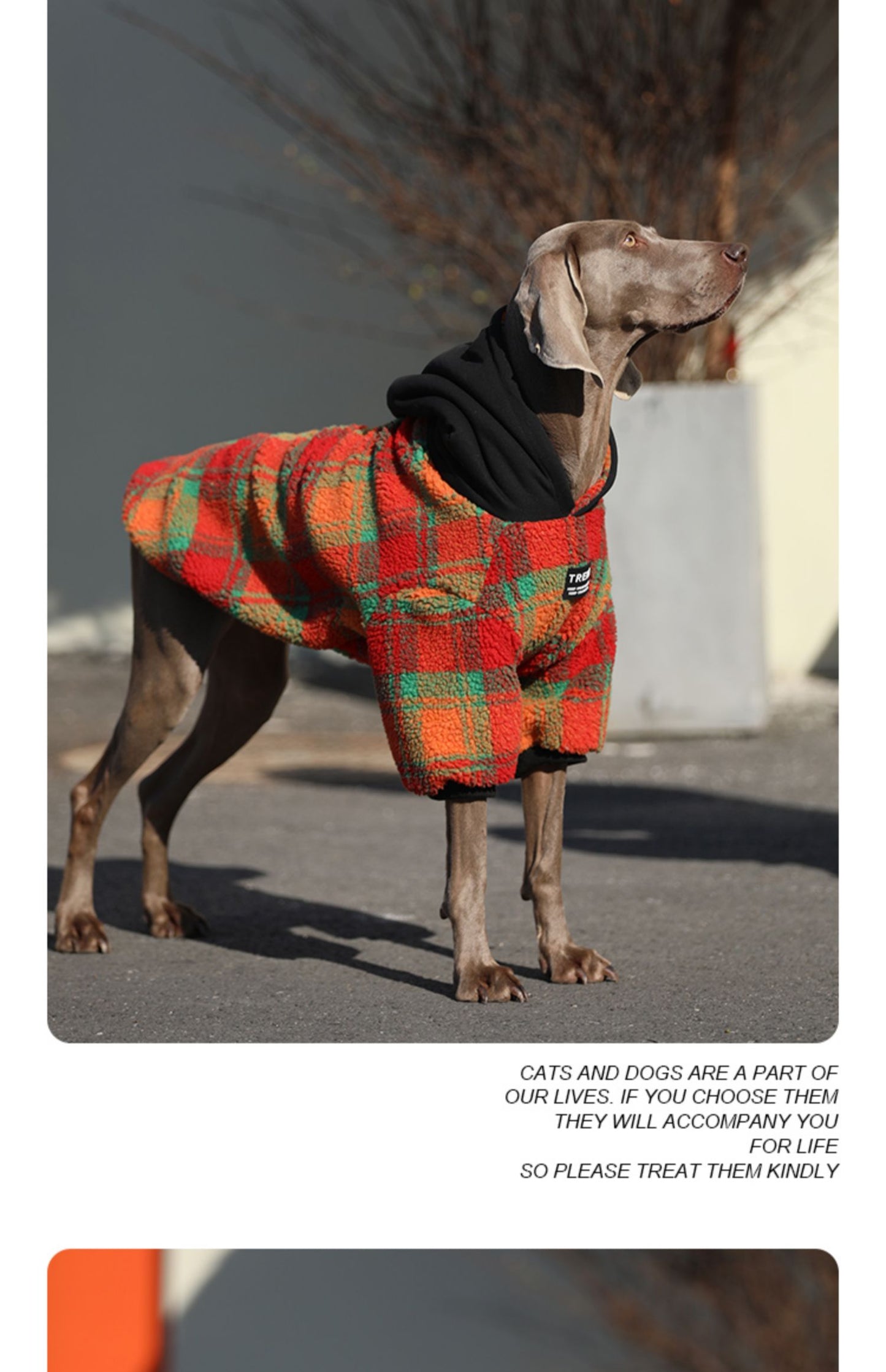 Thick And Warm Clothing For Large Dogs