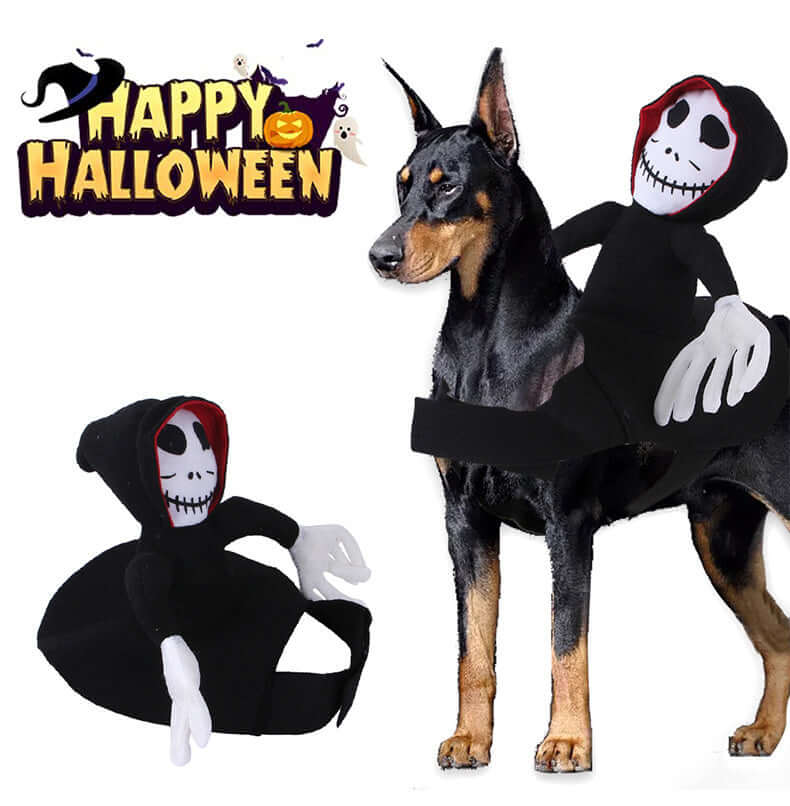 Dog wearing funny Halloween pet costume with scary mask and grim reaper figure, Happy Halloween background