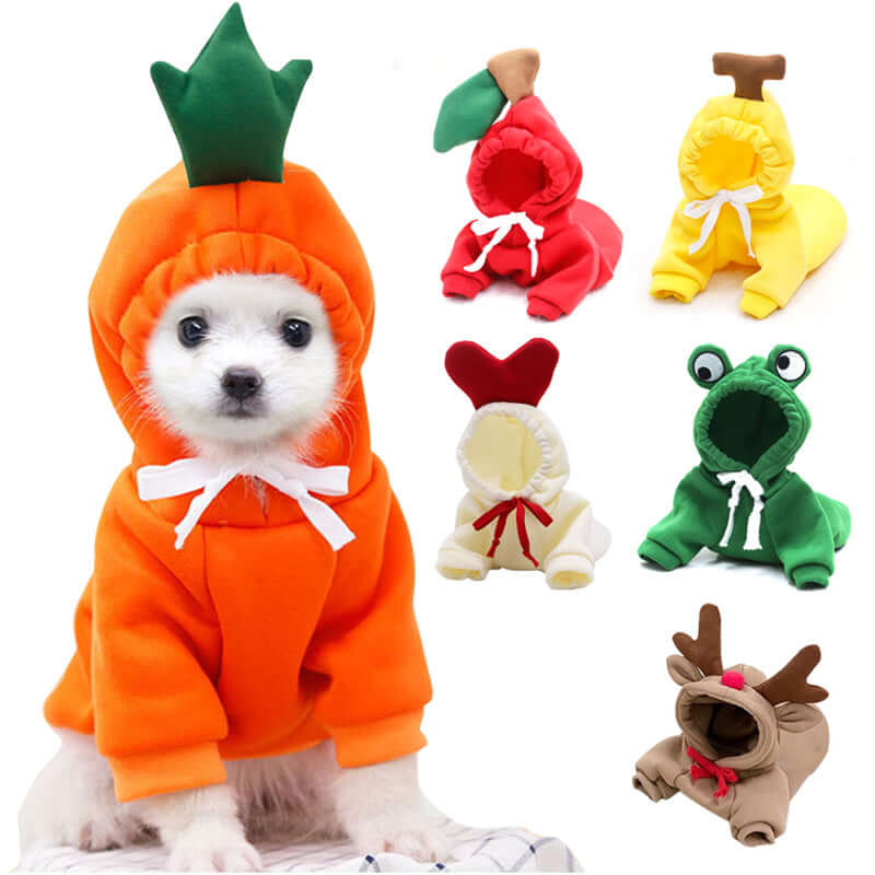 Small dog wearing various colorful autumn and winter hoodies, including carrot, apple, banana, heart, frog, and reindeer designs.