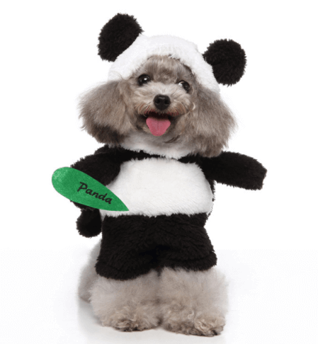 Funny Dog Cosplay Outfit | Halloween & ChristmasDress your pet in our Funny Dog Clothes for Halloween & Christmas. Comfortable, Cute & Easy to Clean. Get the perfect Cosplay Pet Outfit now.£22.90Paws Palace Stores