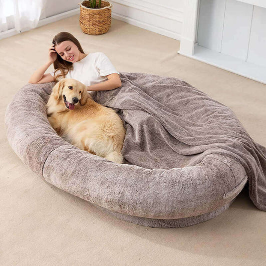 Cozy Short Plush Large Dog Bed in Various SizesShop for a spacious and comfortable dog bed! Made with soft cloth, available in 3 sizes and neutral colors. Get your pet's perfect nest today.£320.90#CatBed,#CatNap,#Cats #SmallDogs,#CatsAccessories,#Comforta