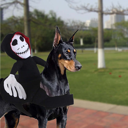 Dog wearing funny pet Halloween costume with skeleton rider in park