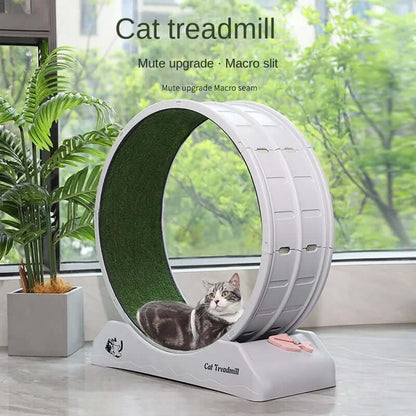 Cat Toys Silent Treadmill Roller & Scratcher Board£128.90Paws Palace Store